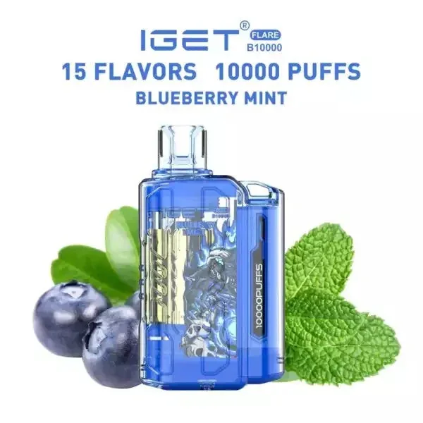 Iget Flare B10000 – Blueberry Mint